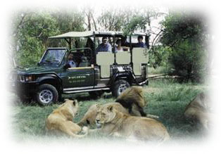South Africa Day Tours