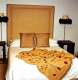 5 Seasons Guesthouse
