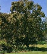 Free State National Botanical Garden