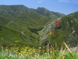 Garden Route Mountain Passes