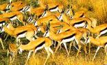 Graaff Reinet