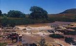 Harrismith