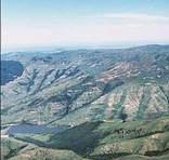 Hogsback