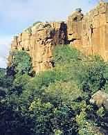 Hogsback
