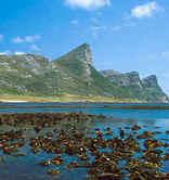 Table Mountain National Park