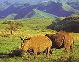Ithala Game Reserve