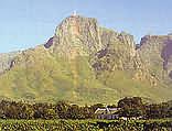 Cape Town - Things To See & Do