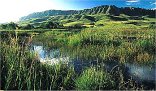 Kamberg - Drakensberg
