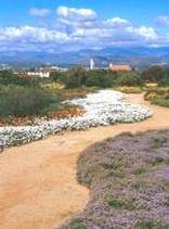Karoo National Botanical Garden