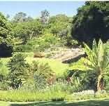 Kirstenbosch National Botanical Garden