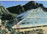 Kirstenbosch National Botanical Garden