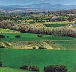 Klein Karoo