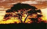Kuruman