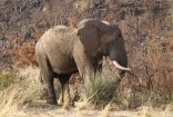 Kwa Maritane Lodge