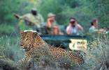 MalaMala Game Reserve