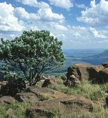 Marakele National Park