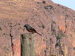 Marakele National Park