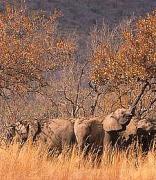 Marakele National Park