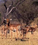 Marakele National Park