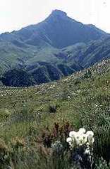 Marloth Nature Reserve