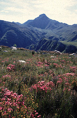Marloth Nature Reserve