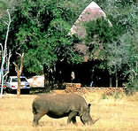 Mkhaya Game Reserve