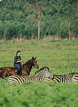 Mlilwane Wildlife Sanctuary