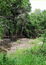 Modjadji Nature Reserve