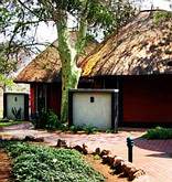 Safari Lodge Room