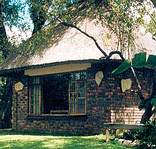 Bush Lodge Room