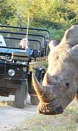 Mohlabetsi Safari Lodge