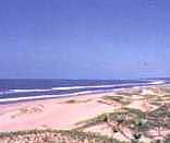 Mtunzini