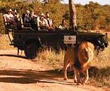 Modimolle  (Nylstroom)