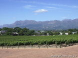 Paarl