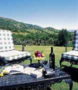 Bush Camp