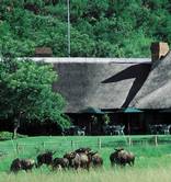 Bakubung Bush Lodge
