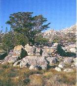 Cederberg Wilderness Area