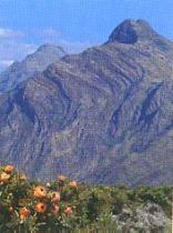 Cederberg Wilderness Area