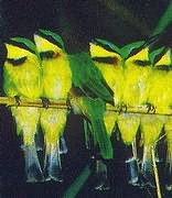 Phinda Game Reserve