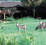 Pilanesberg Game Reserve