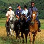 Sani Pass Hotel & Leisure Resort