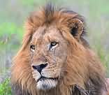 Savanna Private Game Reserve