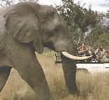 Savanna Private Game Reserve