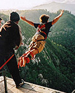 Bloukrans River Bridge Bungi Jumping (Adventures)