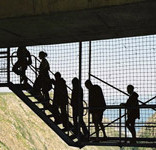 Bloukrans River Bridge Bungi Jumping (Adventures)