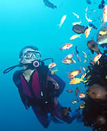 Sodwana Bay Lodge