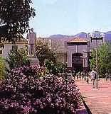 Stellenbosch