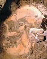 Sterkfontein Caves
