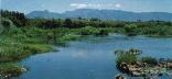 Swellendam