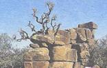 Tussen Die Riviere Game Reserve